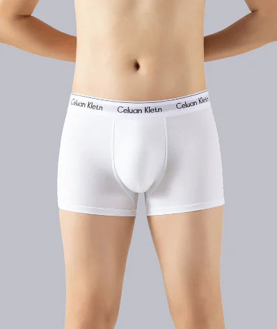 Men's Modal Bamboo Fiber Sports Boxer Shorts L-5XL