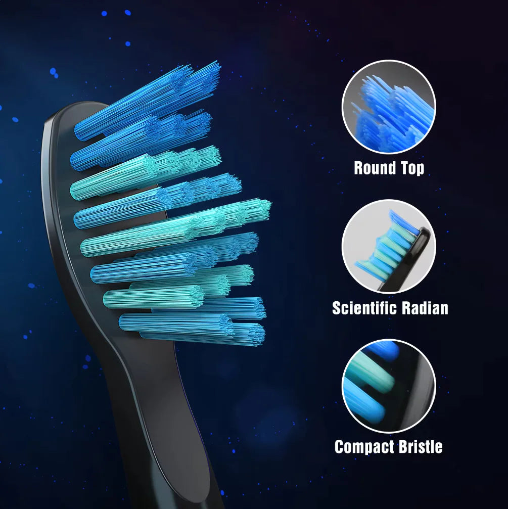 Seago Sonic Electric Toothbrush Cleaning Teeth
